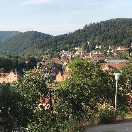 Chez Jose Apartment Rothau Exterior foto
